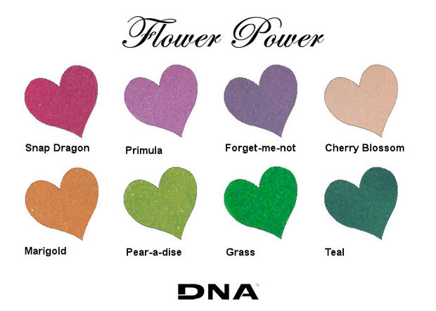 DNA Color powders kit van 8 kleuren